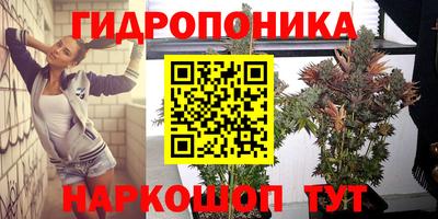 хмурый Аргун