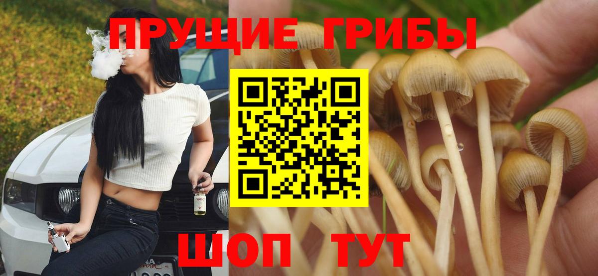 Псилоцибиновые грибы Cubensis Выкса
