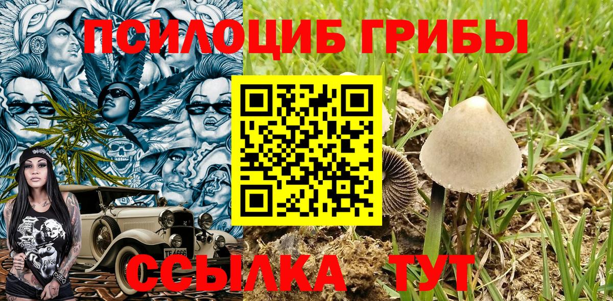 Выкса  купить   Вход с VPN  Галлюциногенные грибы прущие грибы  Галлюциногенные грибы Cubensis 